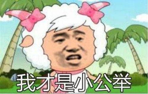 表情包国产动画视频,笑点满满，创意无限