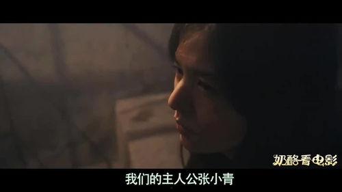 国产真实毛片视频,真实影像背后的故事与反思