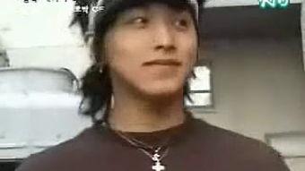 兔子视频国产茄子视频,兔子视频中的独特魅力