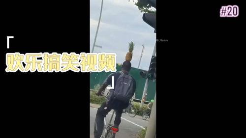 国产搞笑视频旅游曲