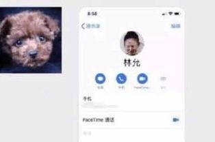 k 视频国产网红,K视频时代下的璀璨新星