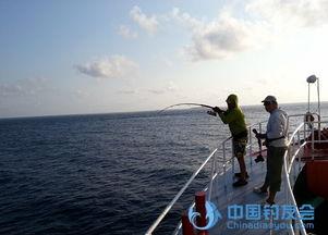 国产海钓铁板竿评测视频,性能解析与实战体验