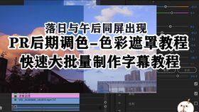 免费视频黄vs国产,黄与国产内容的边界与挑战